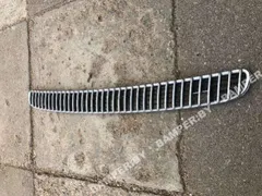 Решетка капота BMW 3 серии, 2001 г.