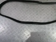 Уплотнитель двери задней правой Volkswagen Passat, 2003 г.
