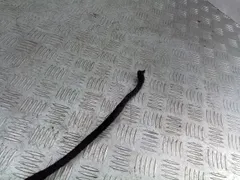 Проводка Audi A4, 2003 г.