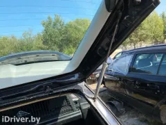 Амортизатор крышки багажника (3-5 двери) Volkswagen Passat, 2002 г.