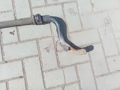Стабилизатор подвески (поперечной устойчивости) передний Volkswagen Touareg, 2006 г.