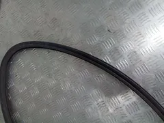 Уплотнитель двери задней правой Volkswagen Passat, 2003 г.