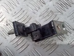 Петля двери Audi A5, 2008 г.