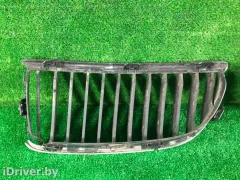 Решетка капота BMW 3 серии, 2005 г.