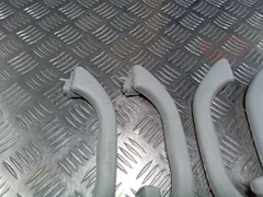 Ручка внутренняя потолочная Volkswagen Passat, 2004 г.
