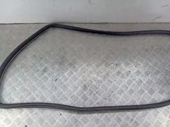 Уплотнитель двери задней правой Volkswagen Passat, 2004 г.