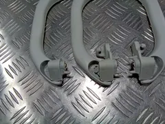 Ручка внутренняя потолочная Volkswagen Passat, 2004 г.