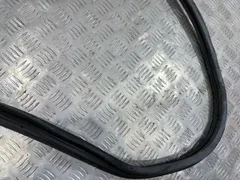 Уплотнитель двери передней правой Audi A6, 2007 г.