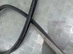 Уплотнитель двери задней правой Volkswagen Passat, 2003 г.