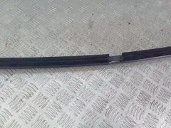Уплотнитель двери задней левой Volkswagen Passat CC, 2010 г.