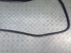 Уплотнитель двери задней левой Volkswagen Touareg, 2005 г.