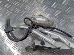Петля капота правая Volkswagen Touareg, 2007 г.