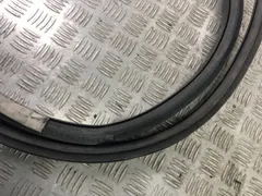 Уплотнитель двери задней левой Volkswagen Passat, 2002 г.