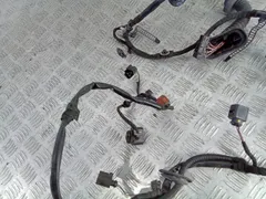 Проводка двери передней правой Audi A8, 2007 г.