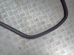 Уплотнитель двери задней левой Audi A4, 2002 г.
