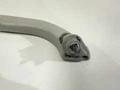 Ручка внутренняя потолочная Volkswagen Passat, 2003 г.
