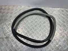 Уплотнитель двери задней правой Volkswagen Passat, 2003 г.