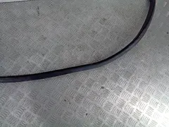 Уплотнитель двери задней левой Volkswagen Passat CC, 2008 г.