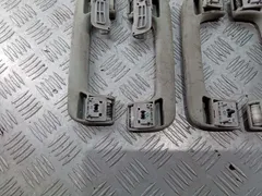 Ручка внутренняя потолочная Audi A6 allroad, 2007 г.