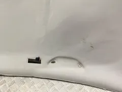 Потолок Volkswagen Passat, 2003 г.