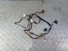Проводка двери Audi A6 allroad, 2003 г.