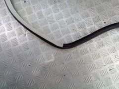 Уплотнитель двери задней правой Volkswagen Passat, 2004 г.