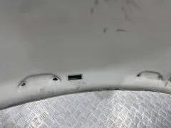 Потолок Volkswagen Passat, 2003 г.