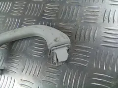 Ручка внутренняя потолочная Volkswagen Passat CC, 2008 г.