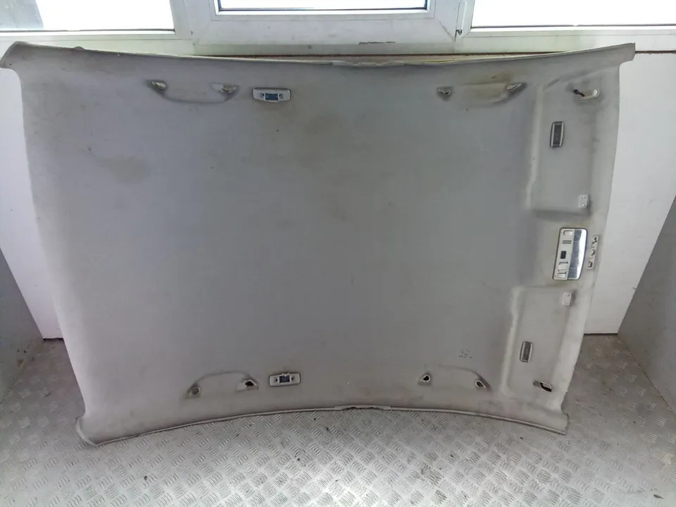 Потолок Volkswagen Passat, 2004 г.