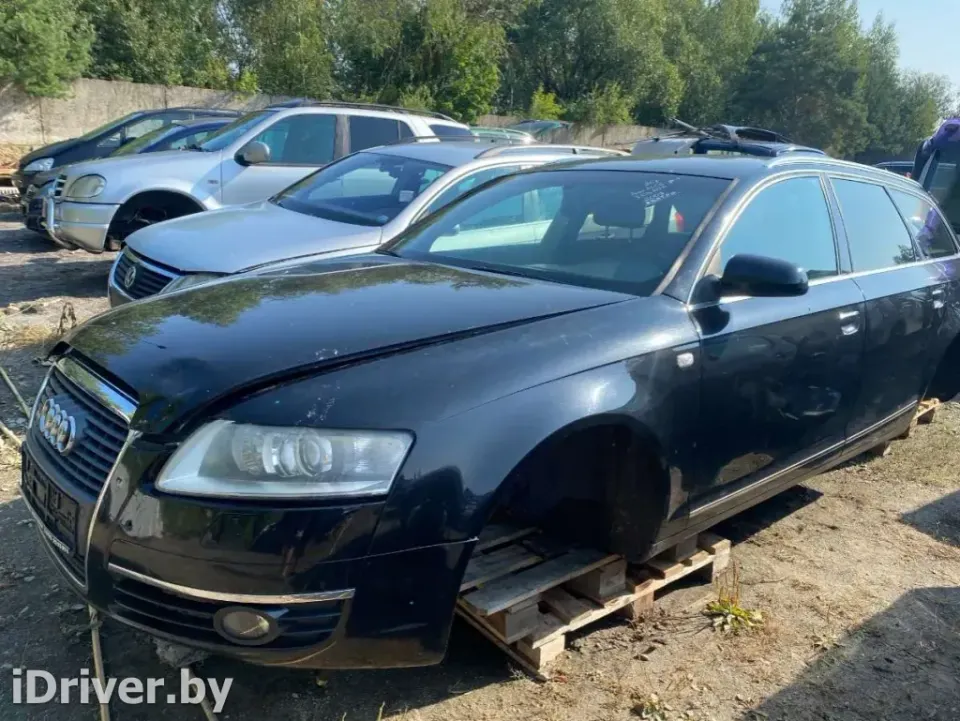 Уплотнитель двери задней левой Audi A6, 2007 г.