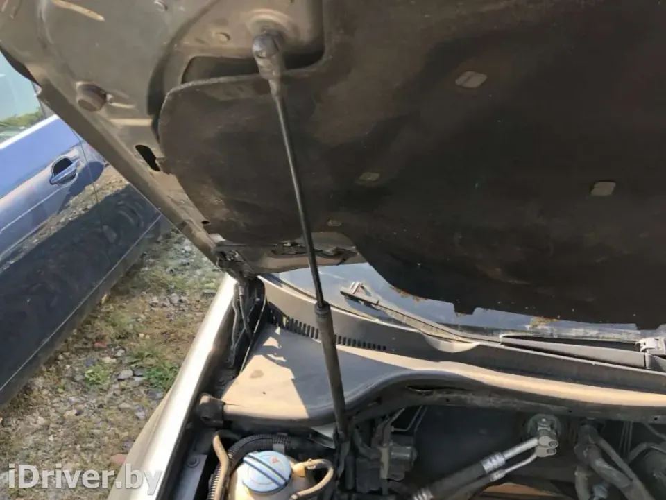 Амортизатор капота Volkswagen Golf, 2005 г.