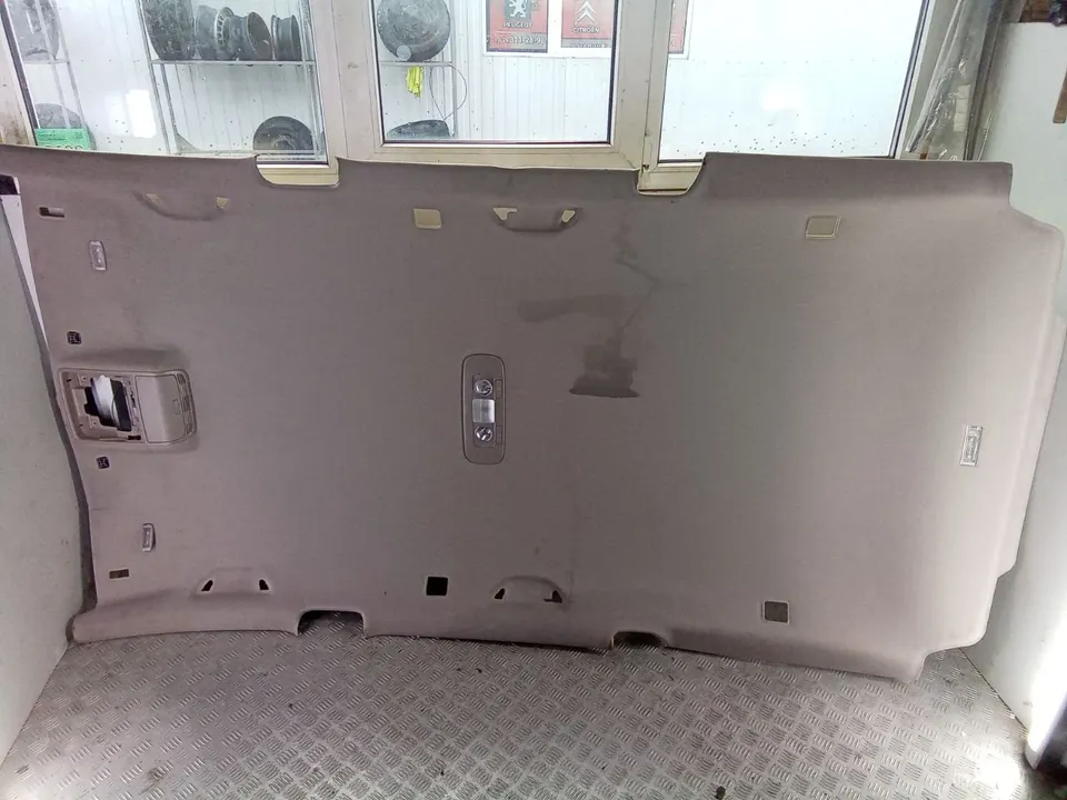 Потолок Volkswagen Passat, 2009 г.