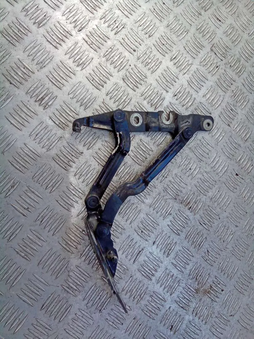 Петля крышки багажника Audi A6, 2002 г.